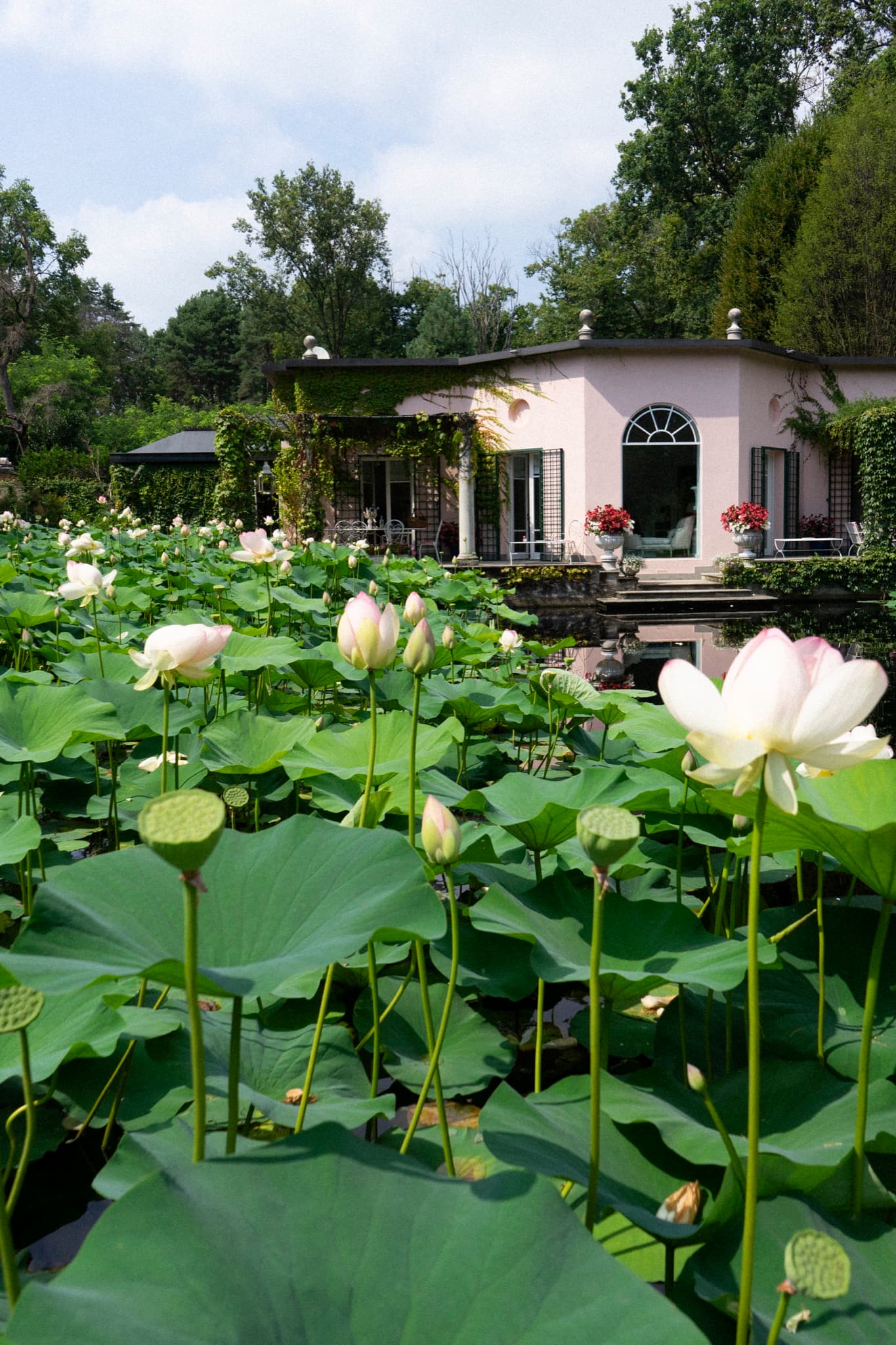 Neo-classical villa on a private lake photo 20
