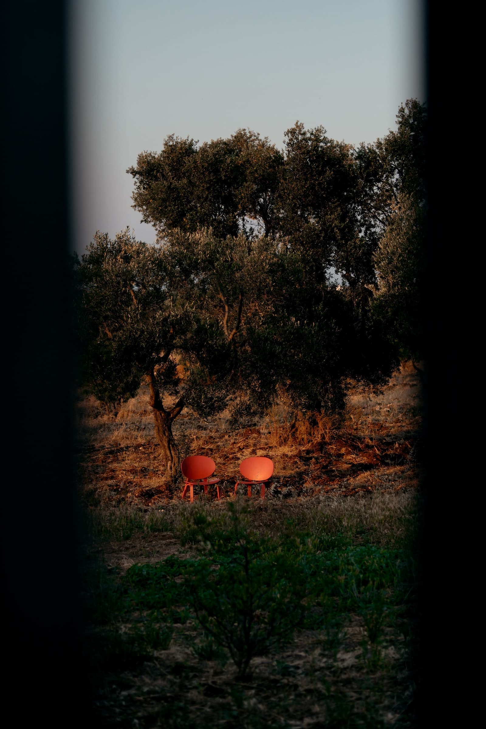 Architectural design villa in Puglia photo 30