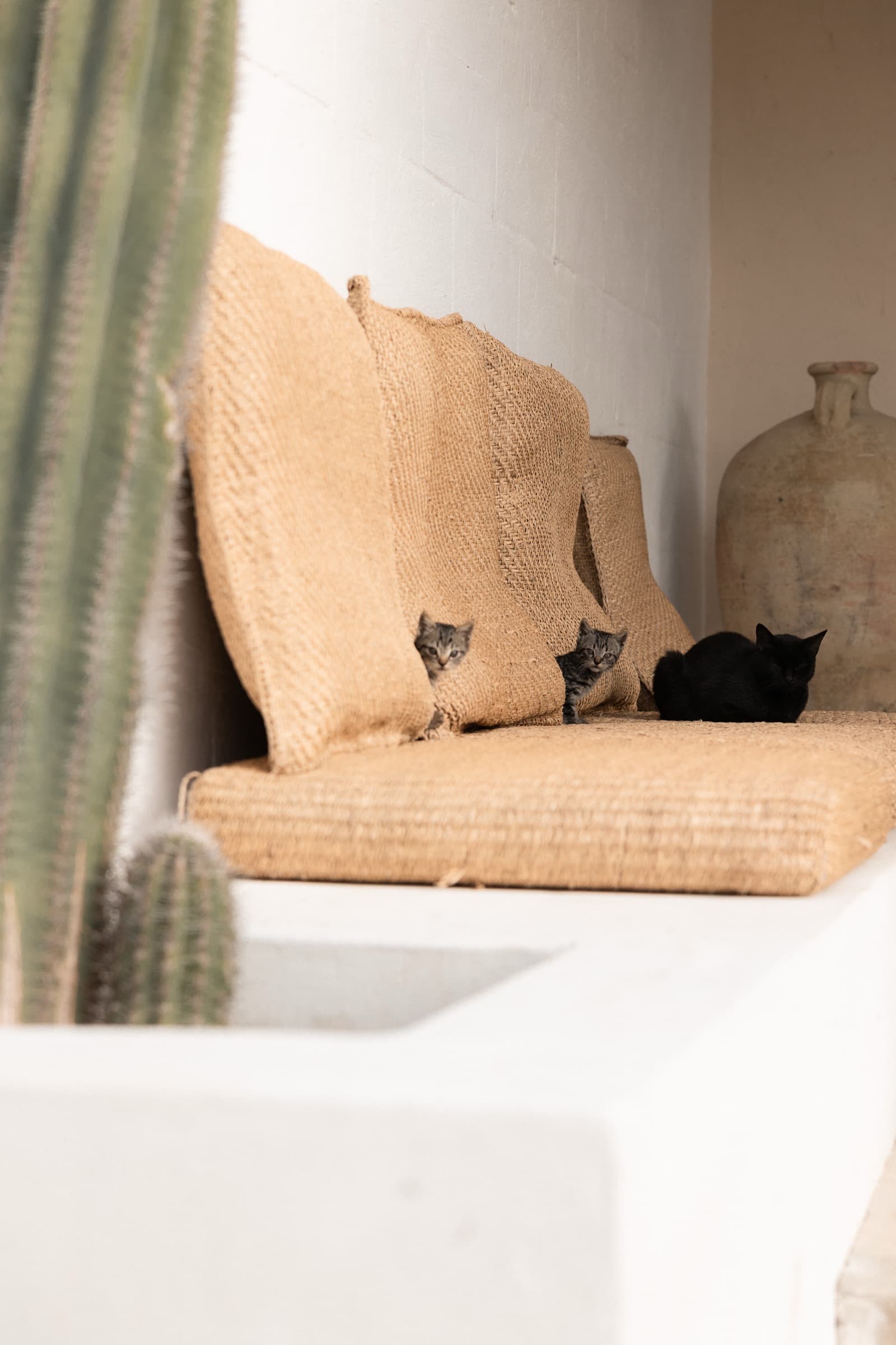 Design masseria in Puglia photo 37