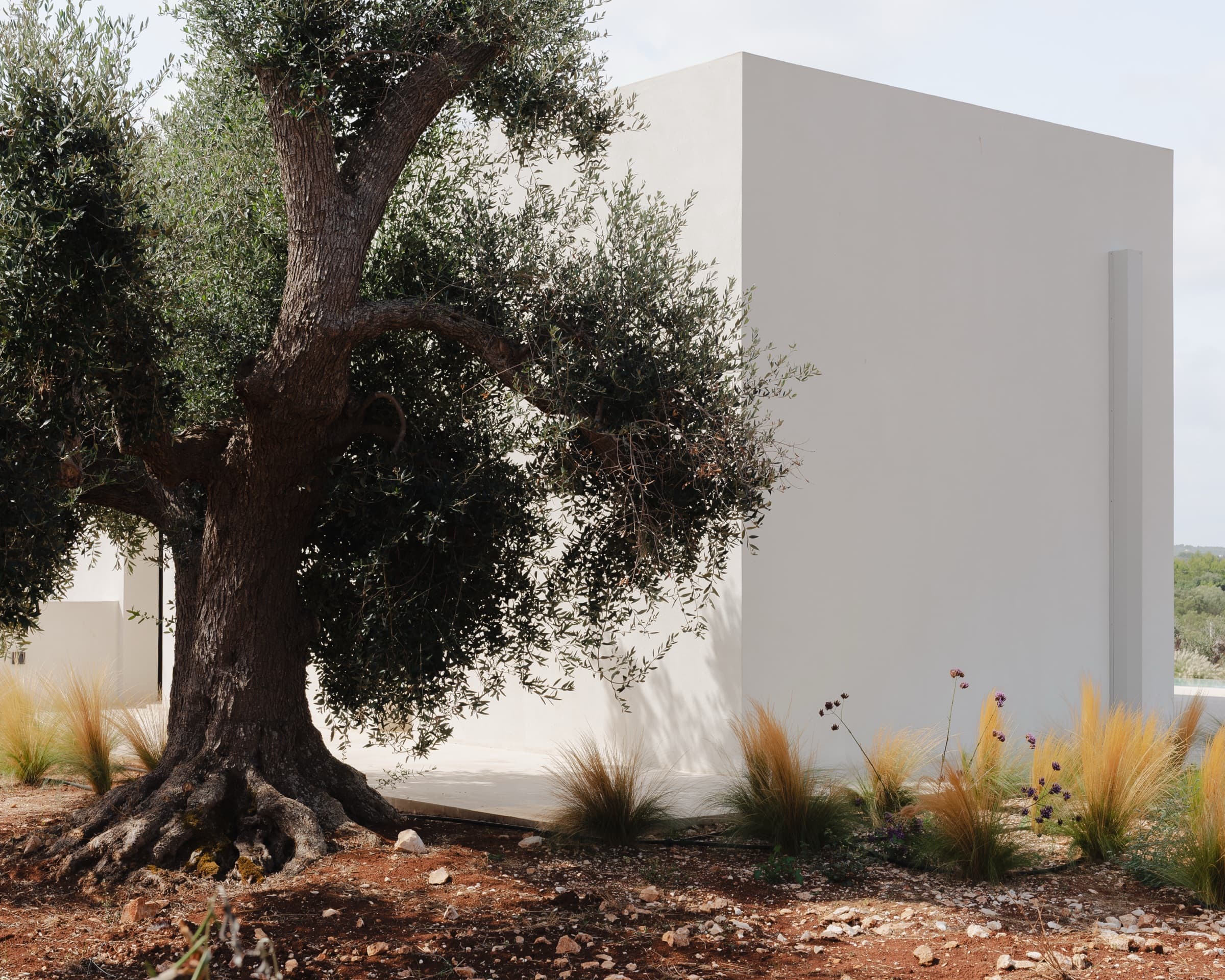 Sunset villa in the Ostuni hills photo 26