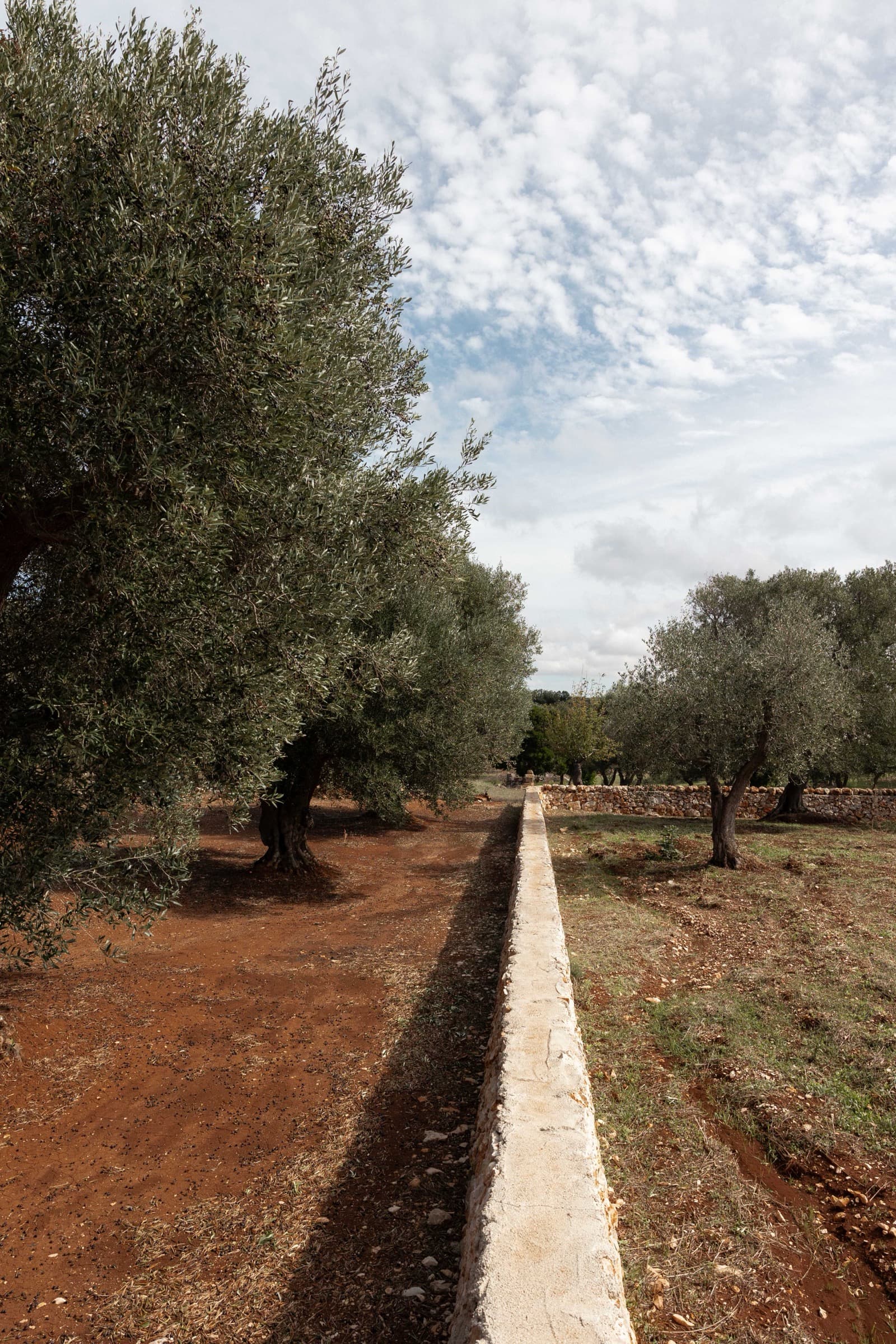 Design masseria in Puglia photo 45