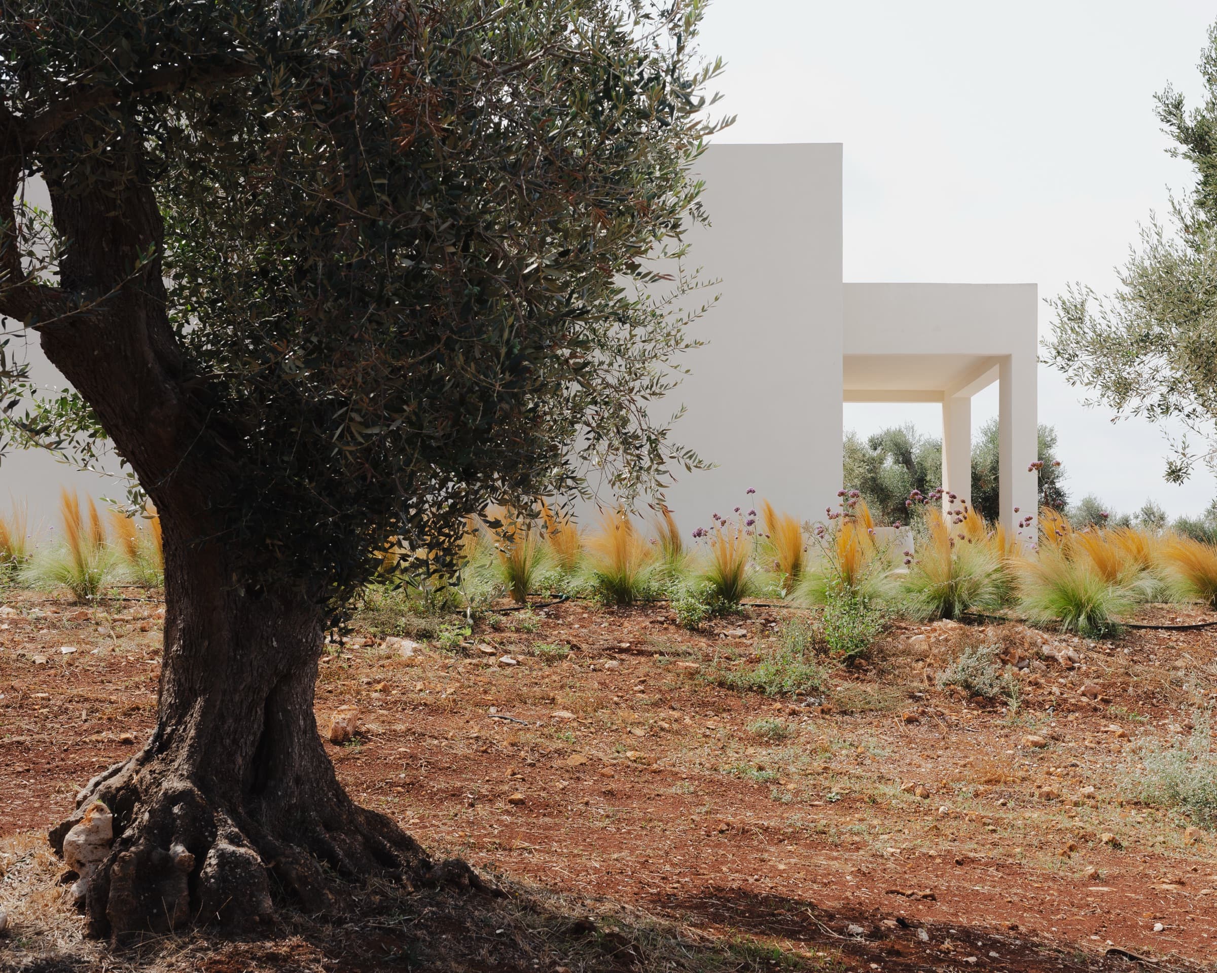 Sunset villa in the Ostuni hills photo 15