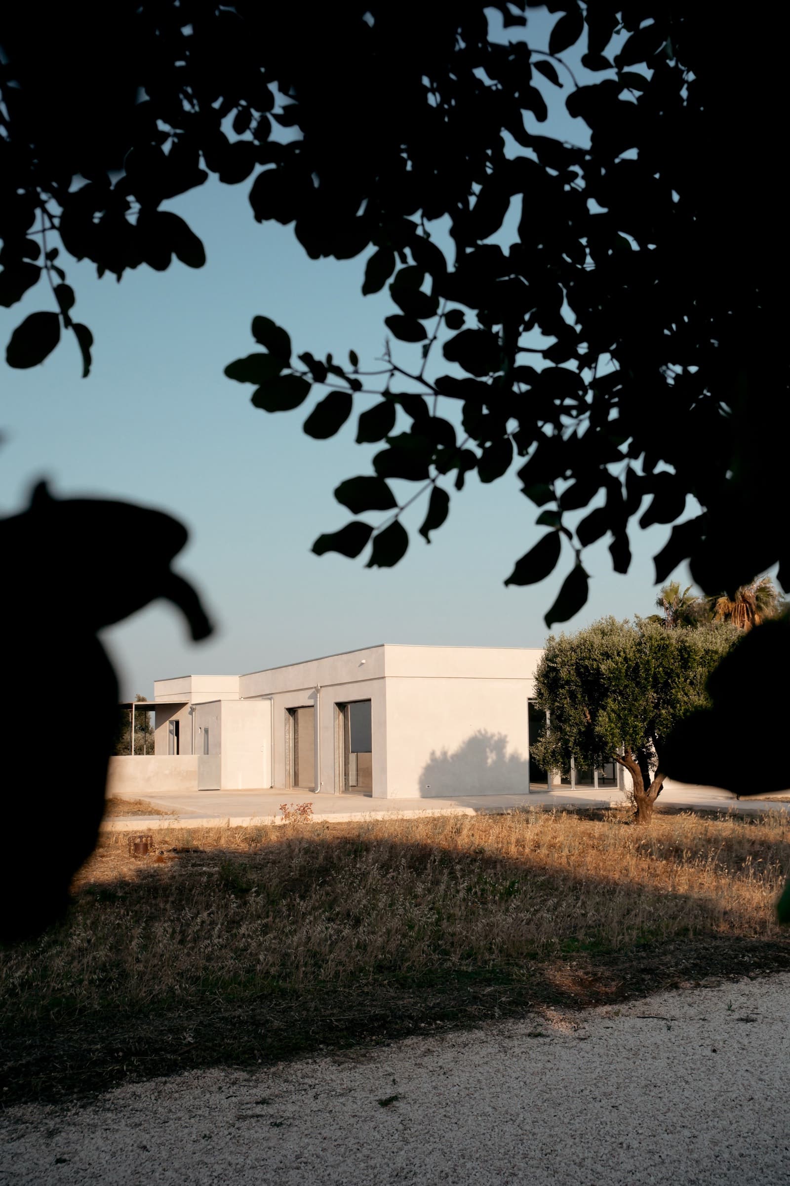 Architectural design villa in Puglia photo 6