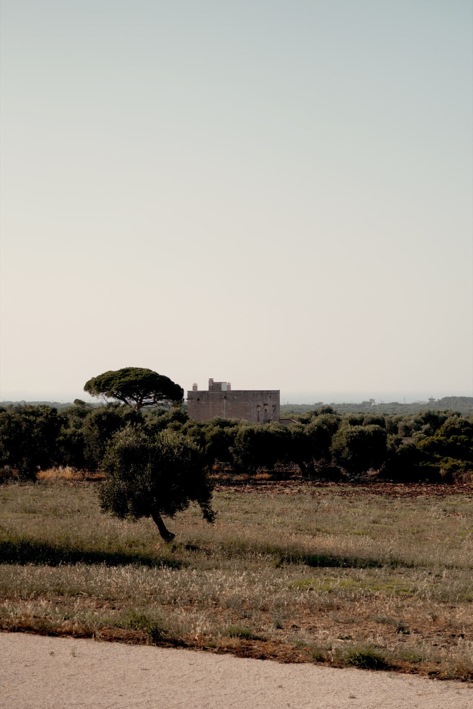 Architectural design villa in Puglia photo 5
