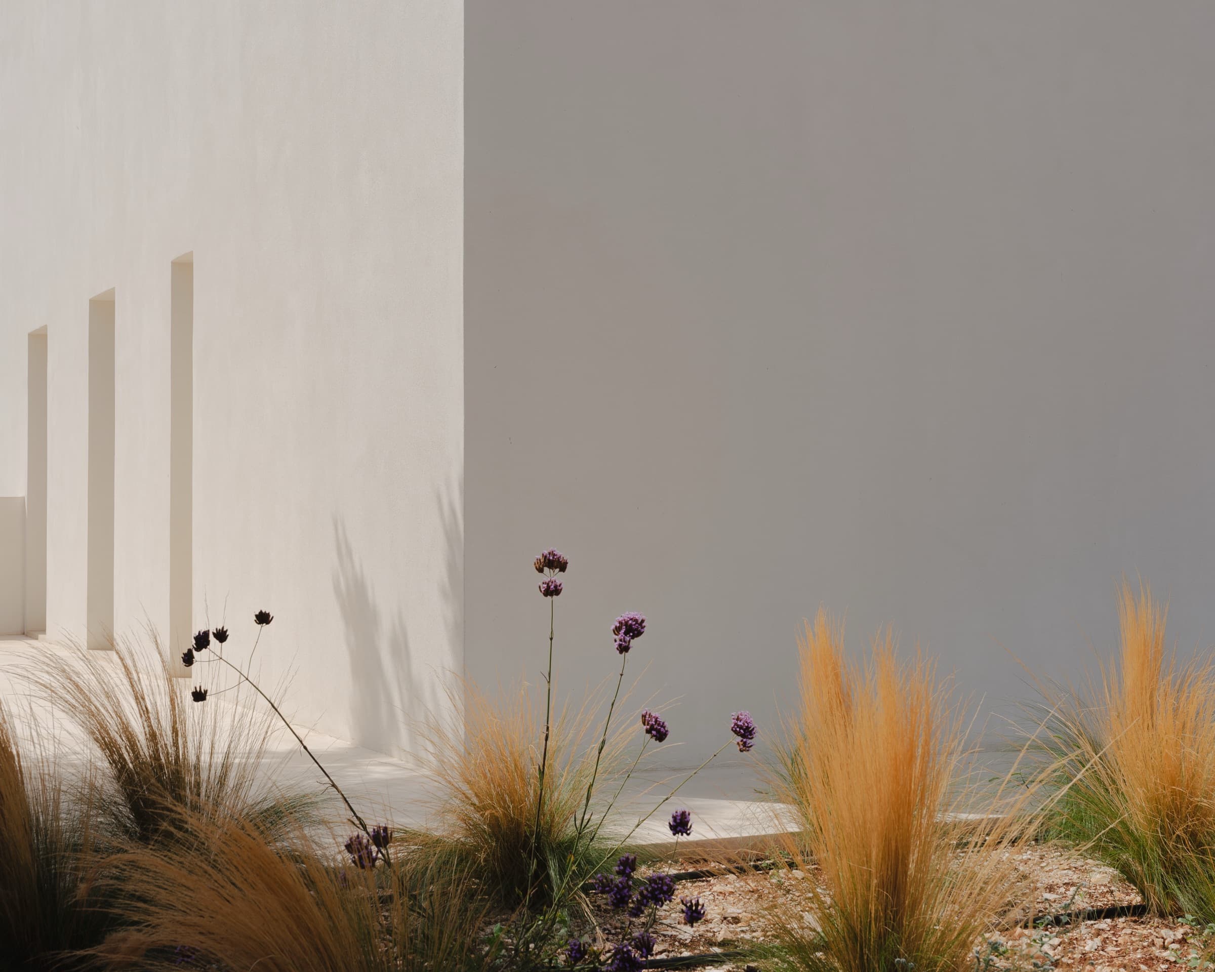 Sunset villa in the Ostuni hills photo 27