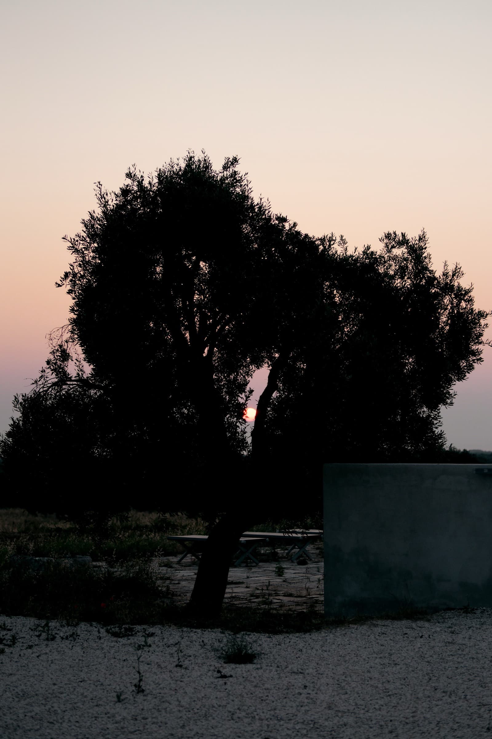Architectural design villa in Puglia photo 29
