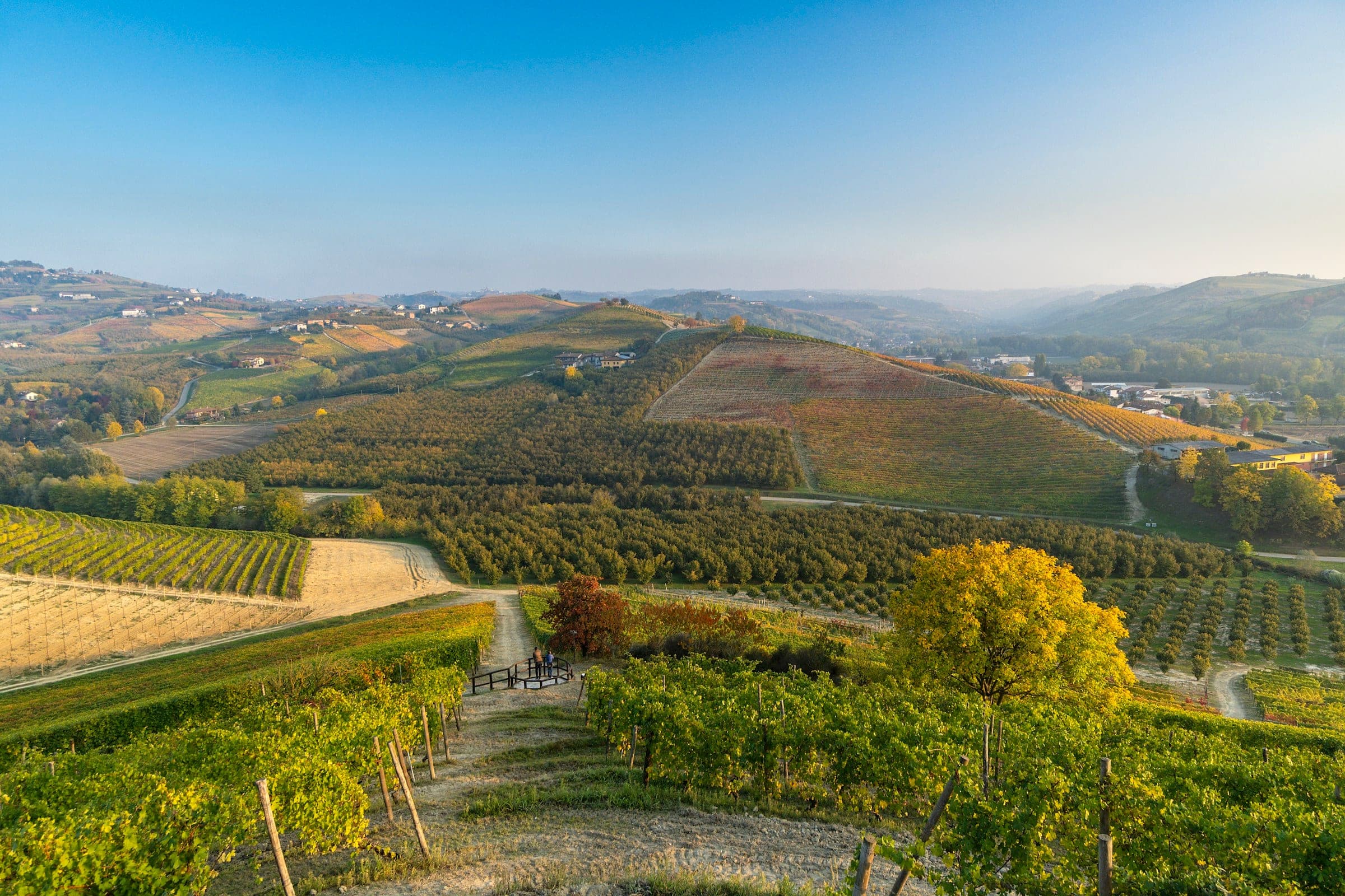 Piedmont